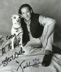 stevejack