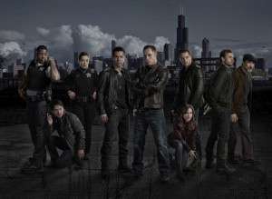 Chicago P.D. - Season 1