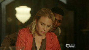 H108A-N10-ORG-110-03