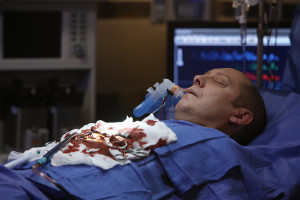 The Blacklist- Season 2