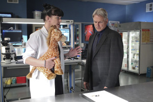 "Neverland" -- NCIS feverishly investigates a global terrorist group that is recruiting teens via the Internet following a deadly bombing overseas that results in an emotional and surprising loss for the team, on the 12th season finale of NCIS, Tuesday, May 12 (8:00-9:00 PM, ET/PT), on the CBS Television Network. Pictured left to right: Pauley Perrette and Mark Harmon Photo: Sonja Flemming/CBS ©2015 CBS Broadcasting, Inc. All Rights Reserved