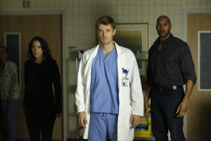 CHLOE BENNET, LUKE MITCHELL, HENRY SIMMONS