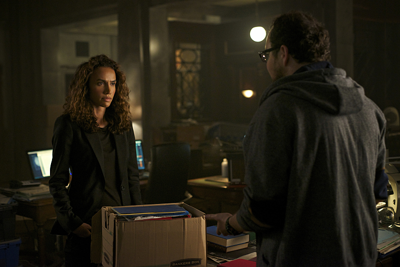 BEAUTY AND THE BEAST BEAUTY AND THE BEAST