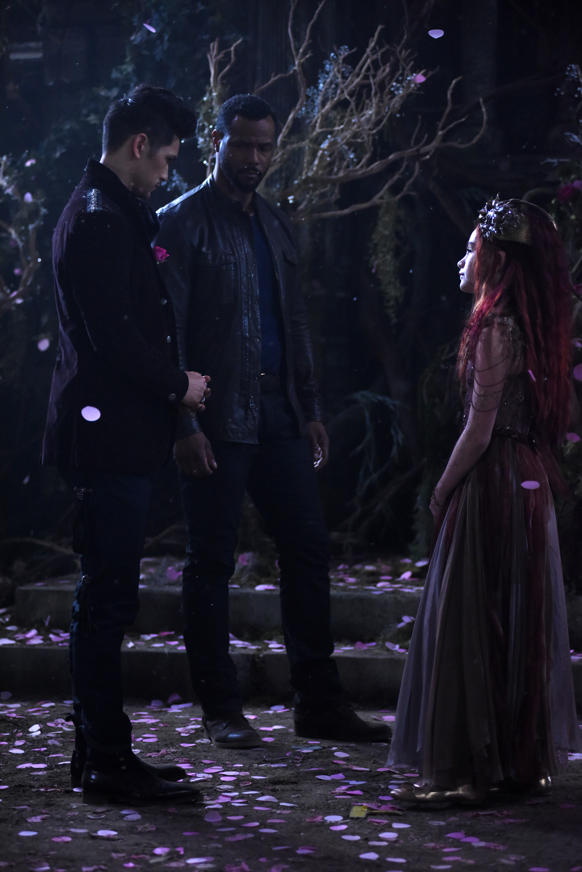 146494__3668 146494__3668