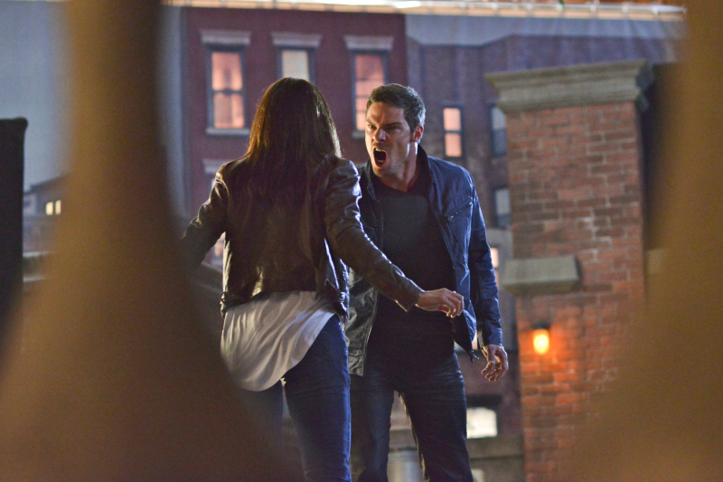 BEAUTY AND THE BEAST BEAUTY AND THE BEAST