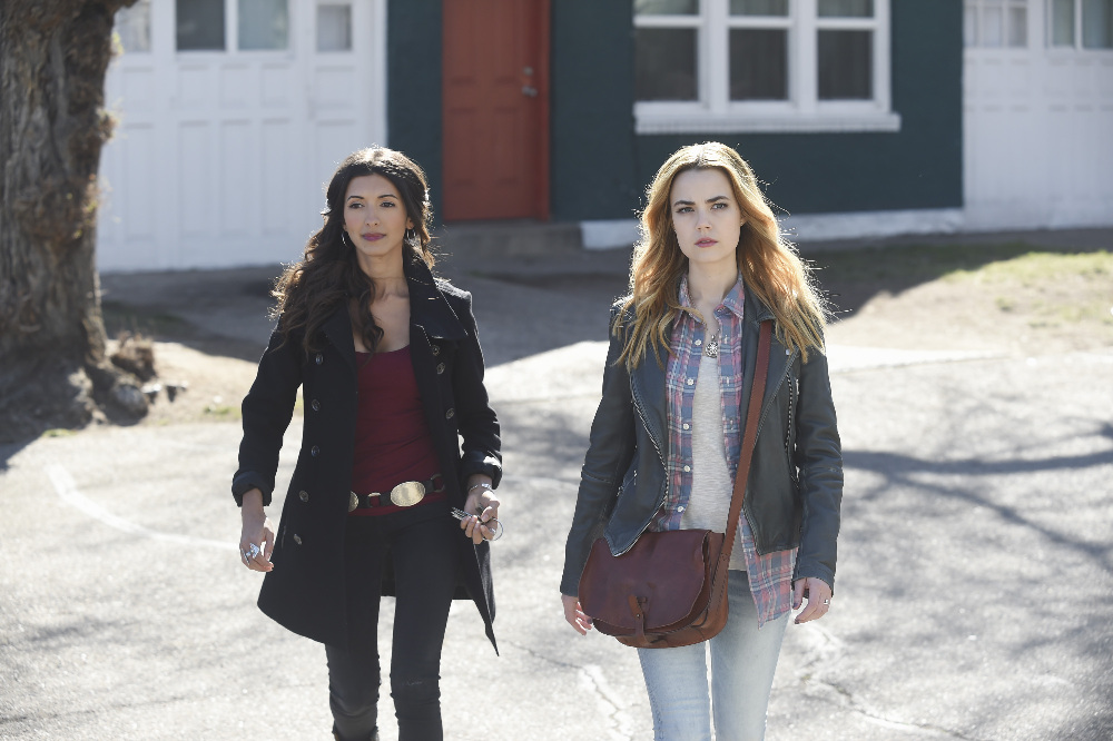 138962_3988 138962_3988