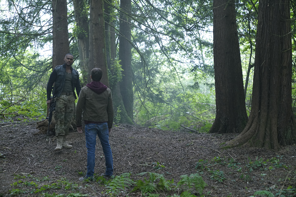 143622_3783 143622_3783