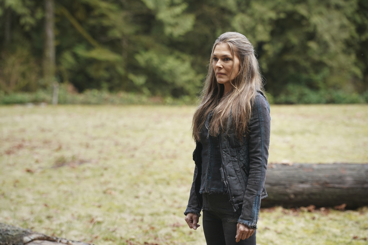 THE 100 THE 100