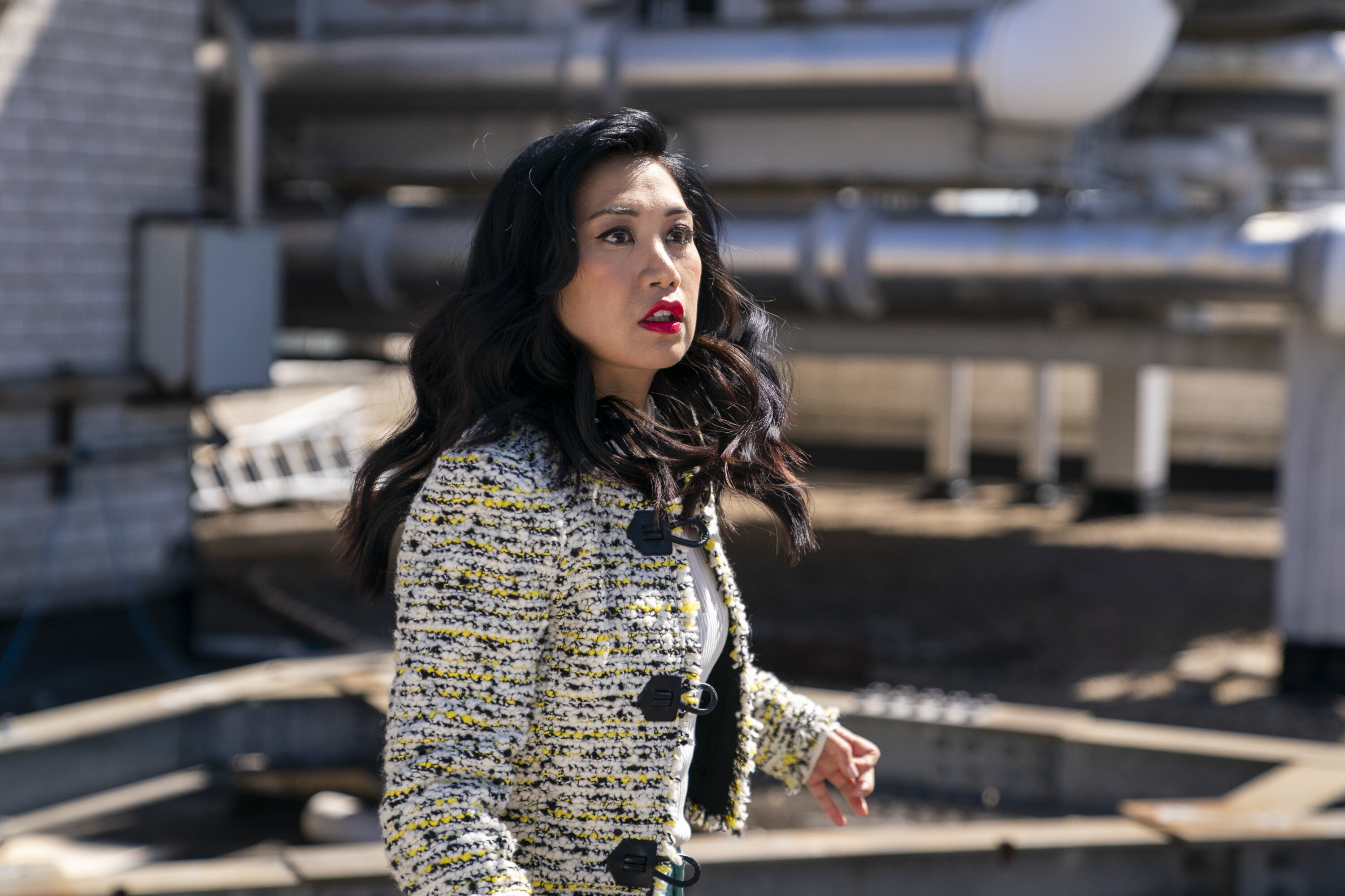 THE EQUALIZER THE EQUALIZER