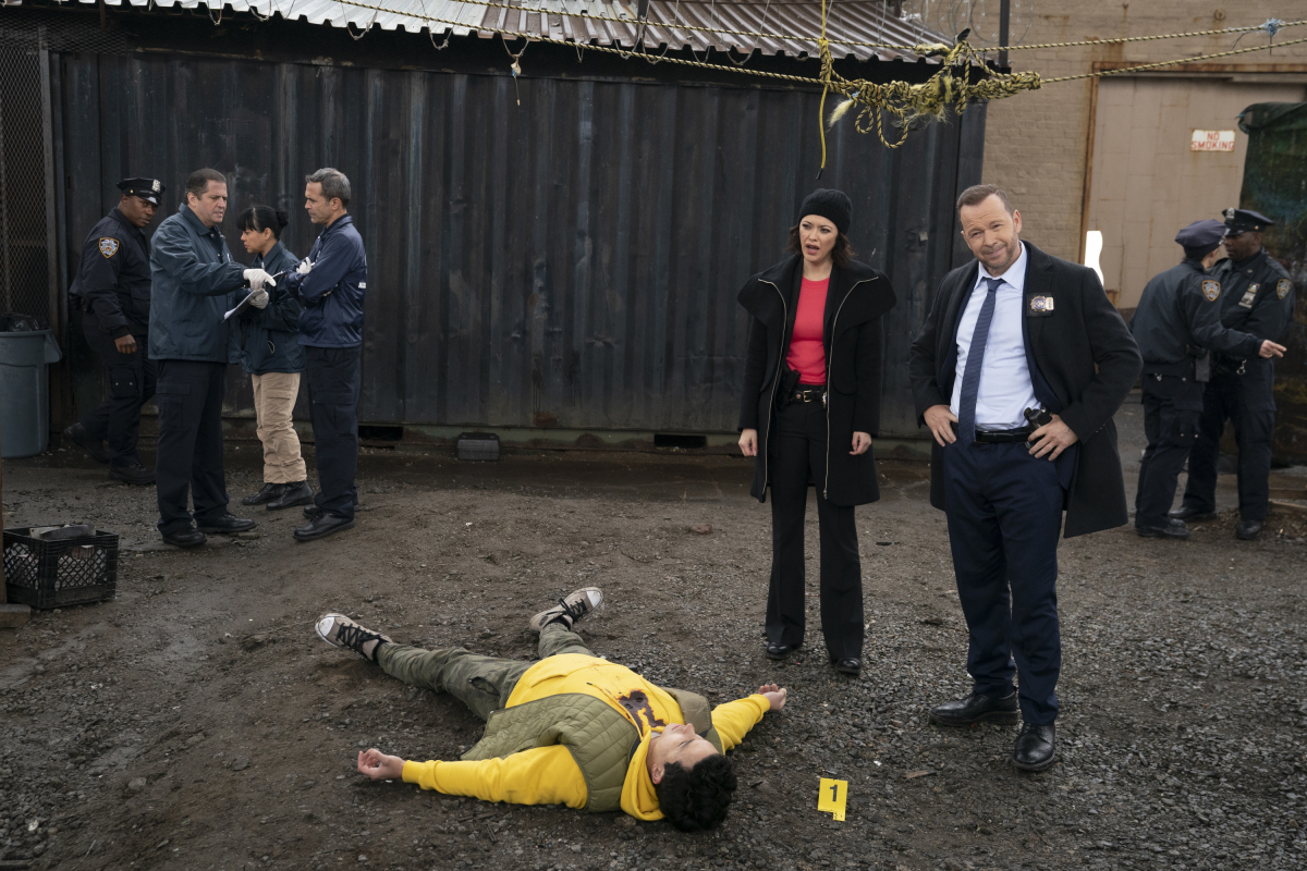 Blue Bloods Blue Bloods