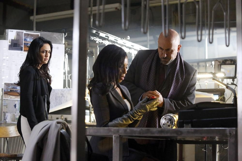 135116_5641 135116_5641