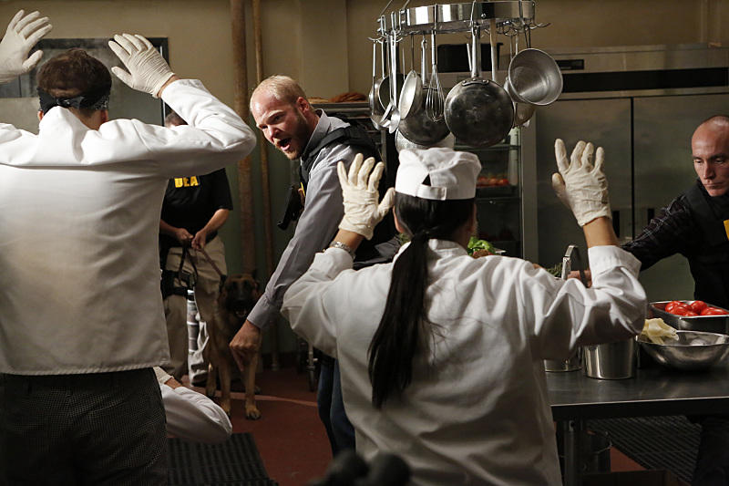 THE MENTALIST THE MENTALIST