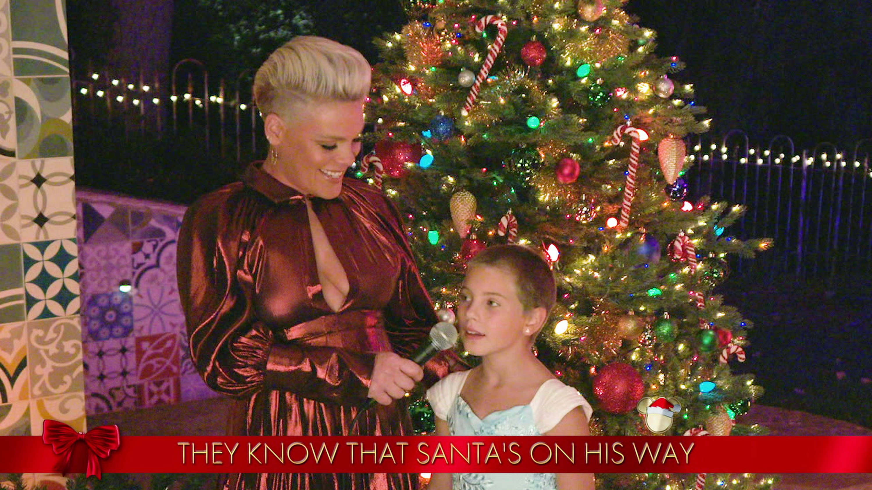 156754_P!NK_0051 156754_P!NK_0051