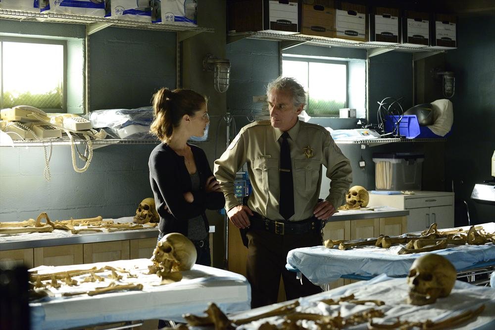 136740_8821 136740_8821