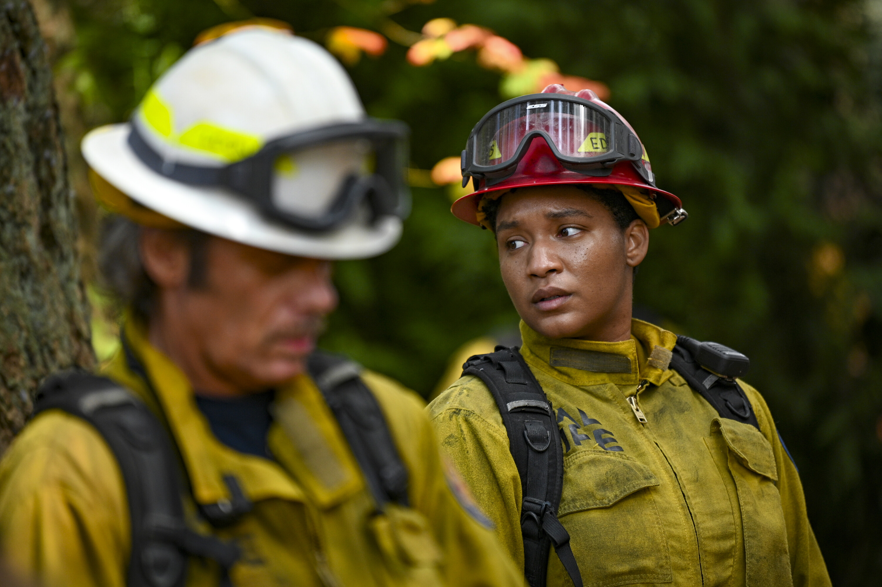 FIRE COUNTRY FIRE COUNTRY