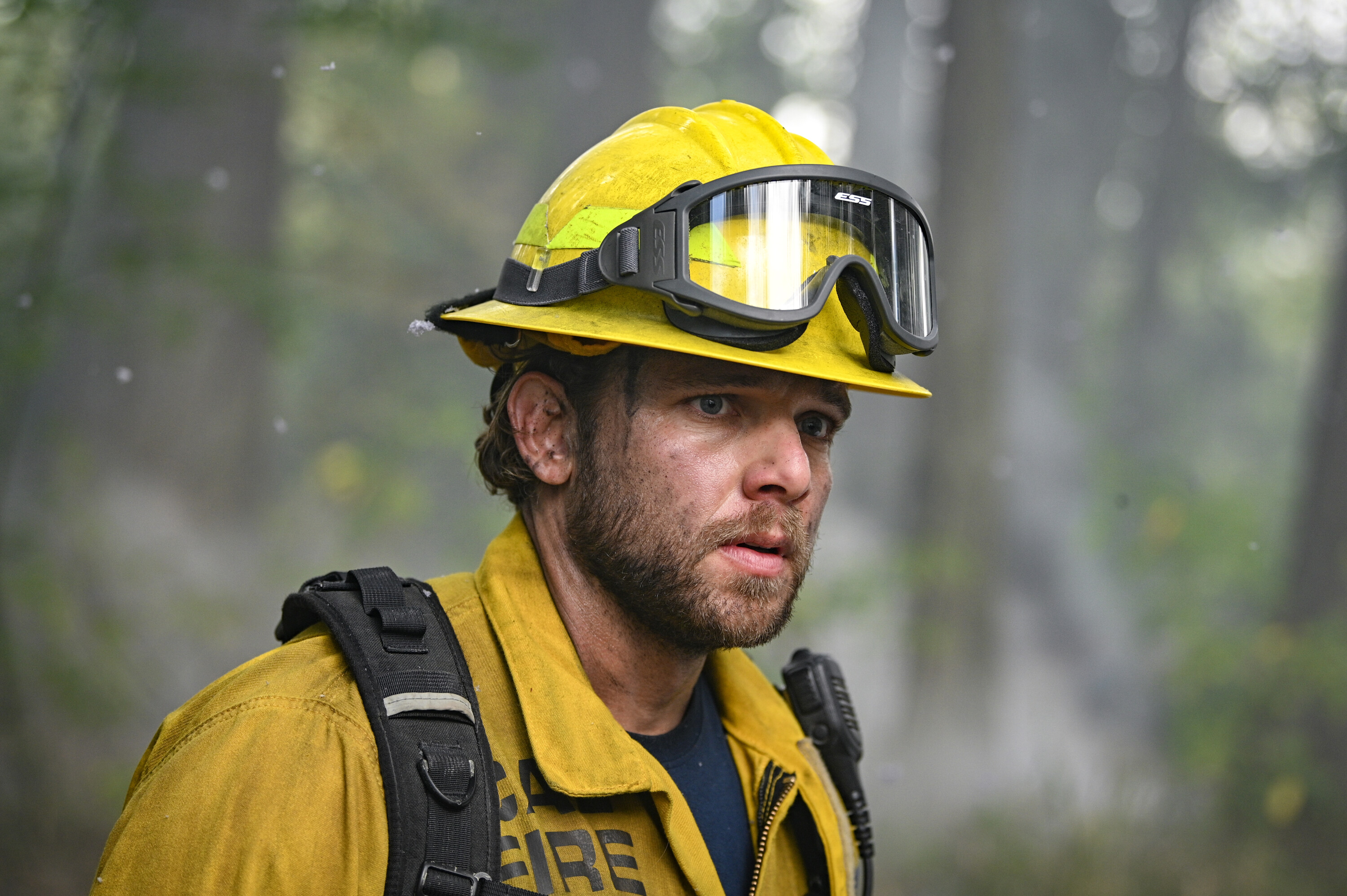 FIRE COUNTRY FIRE COUNTRY