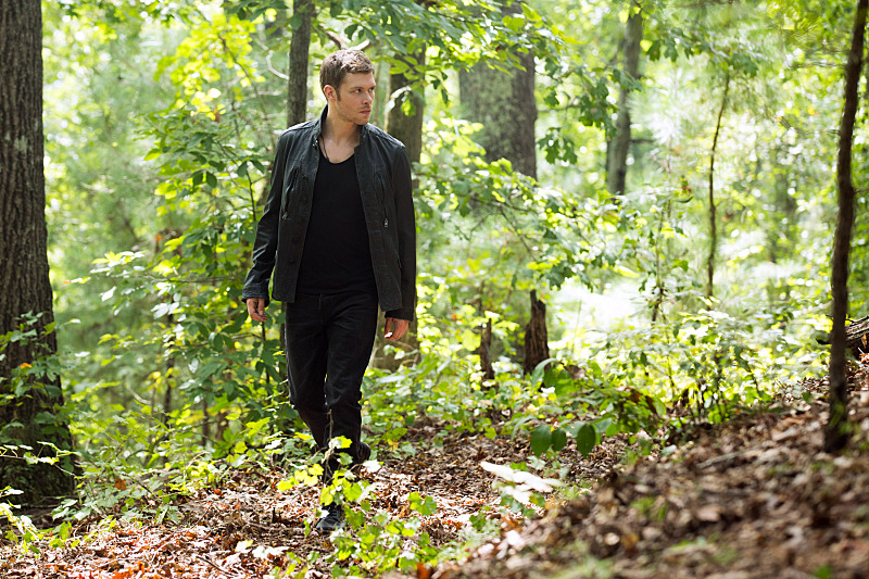 THE ORIGINALS THE ORIGINALS