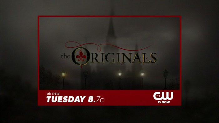 h047a-225-org-110-21 h047a-225-org-110-21