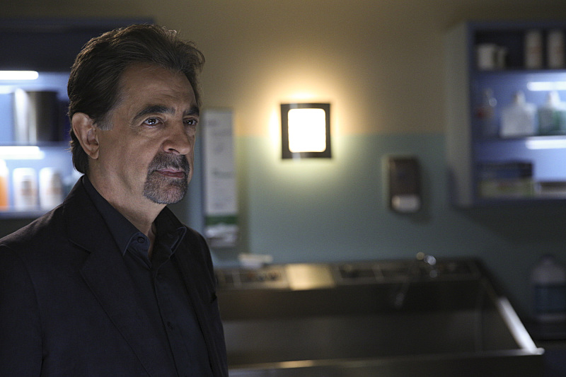 CRIMINAL MINDS CRIMINAL MINDS