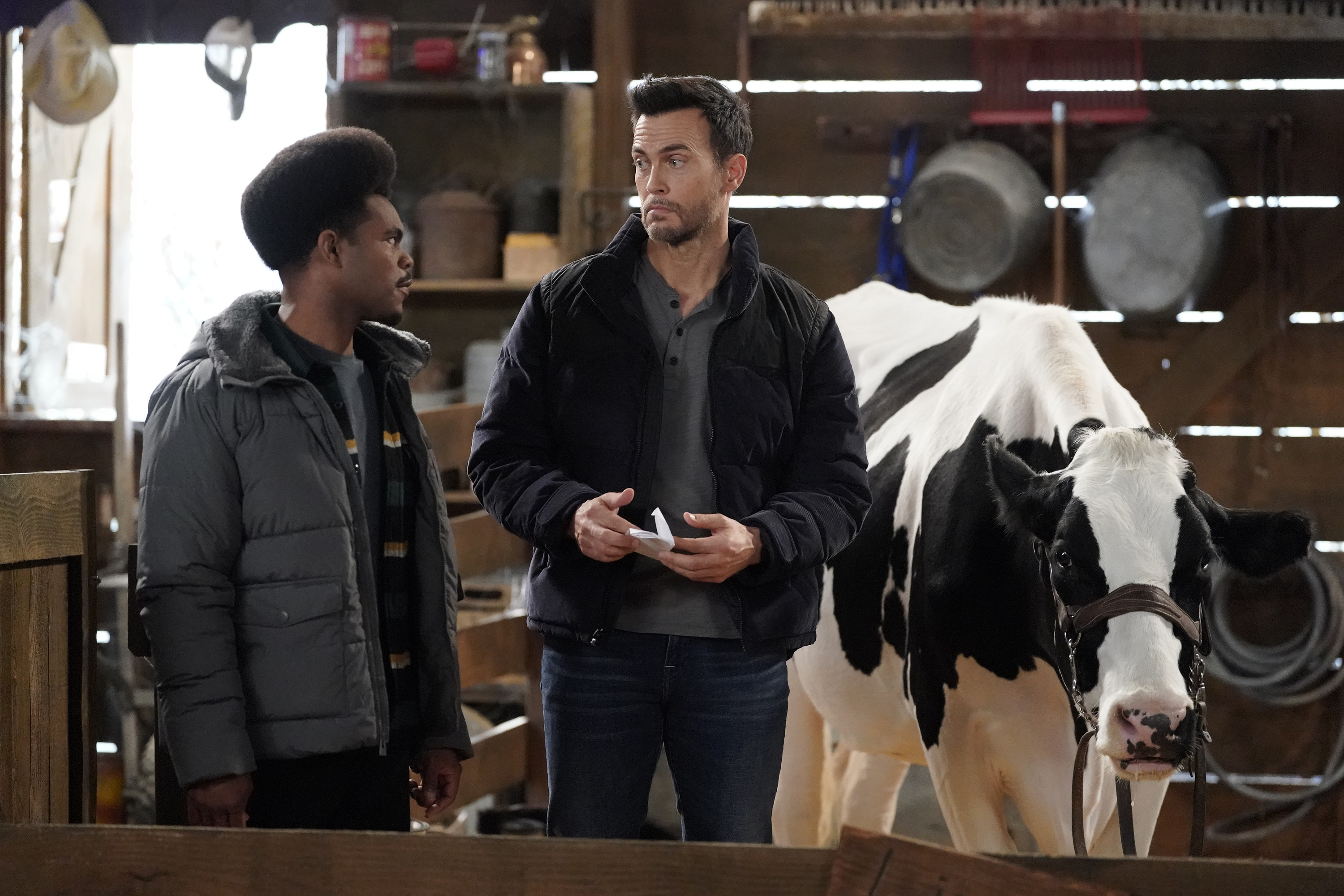 CMK-S3-311_ScB_LR_036_f CMK-S3-311_ScB_LR_036_f