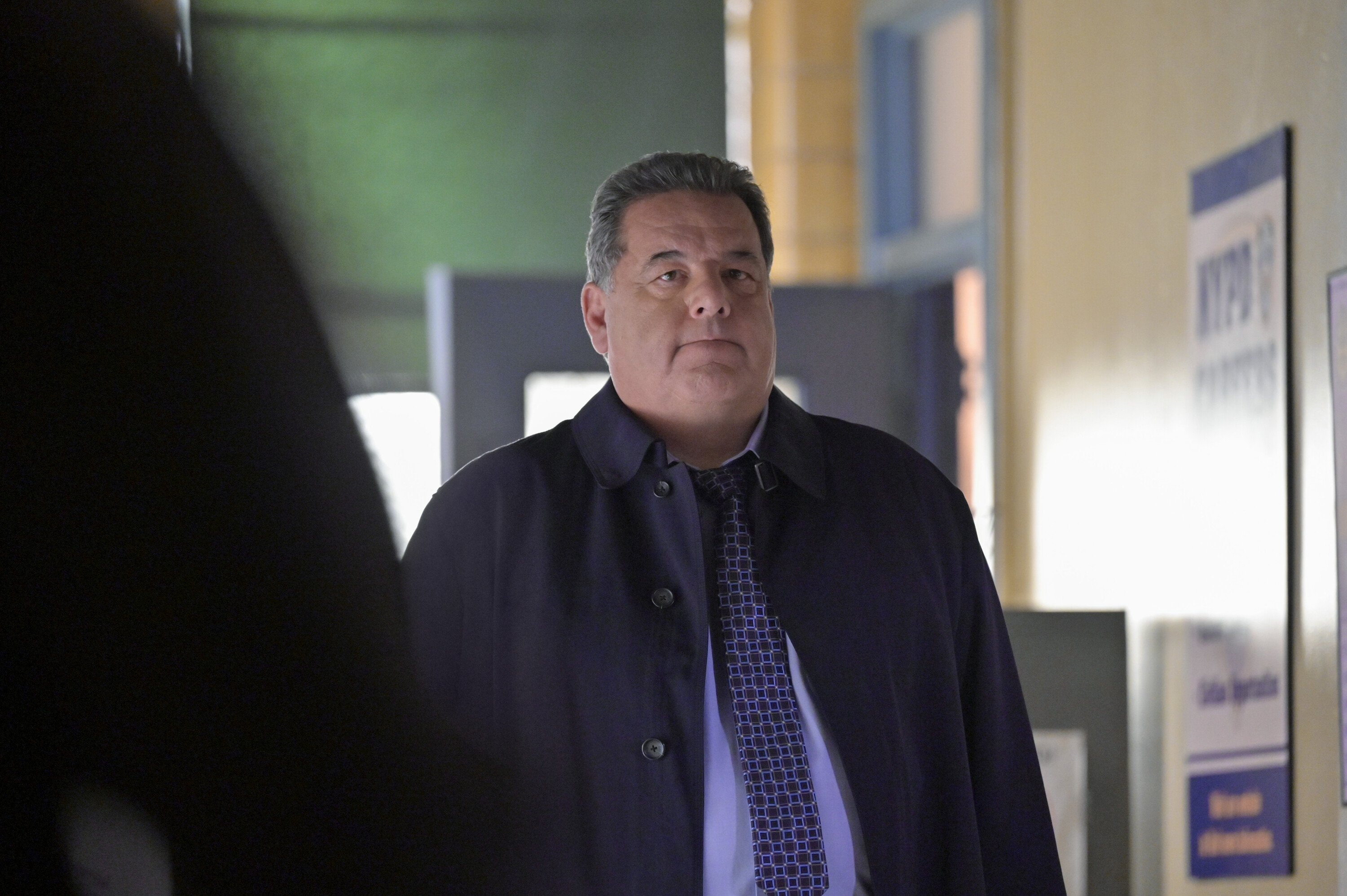 BLUE BLOODS BLUE BLOODS