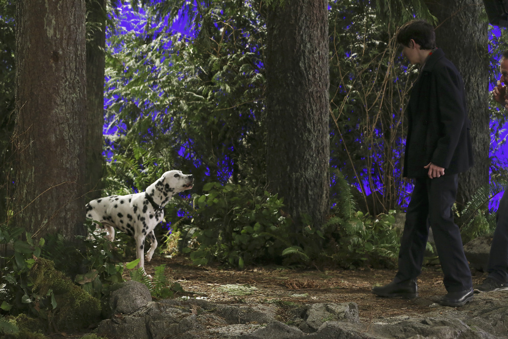 138564_9913 138564_9913