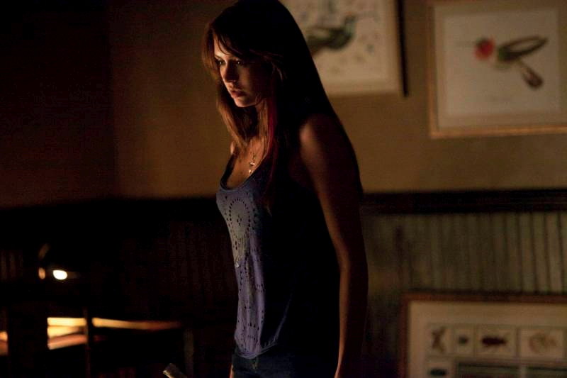 THE VAMPIRE DIARIES THE VAMPIRE DIARIES