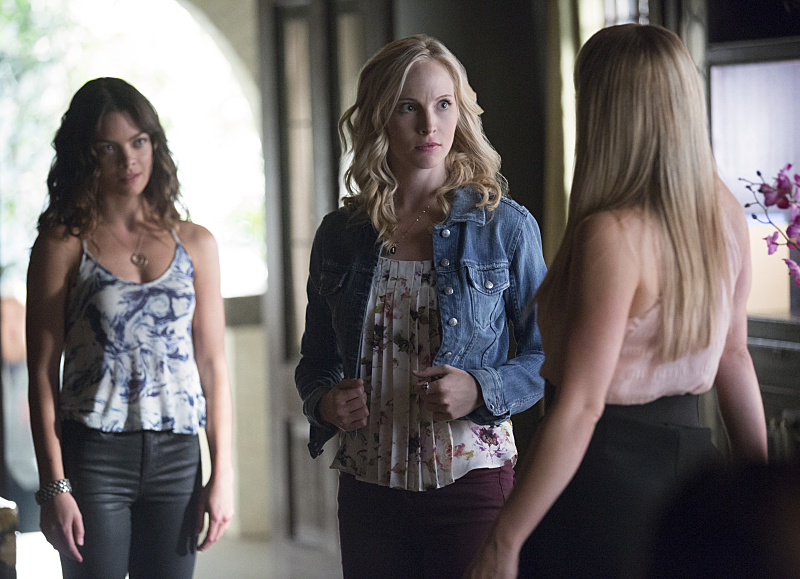 THE VAMPIRE DIARIES THE VAMPIRE DIARIES