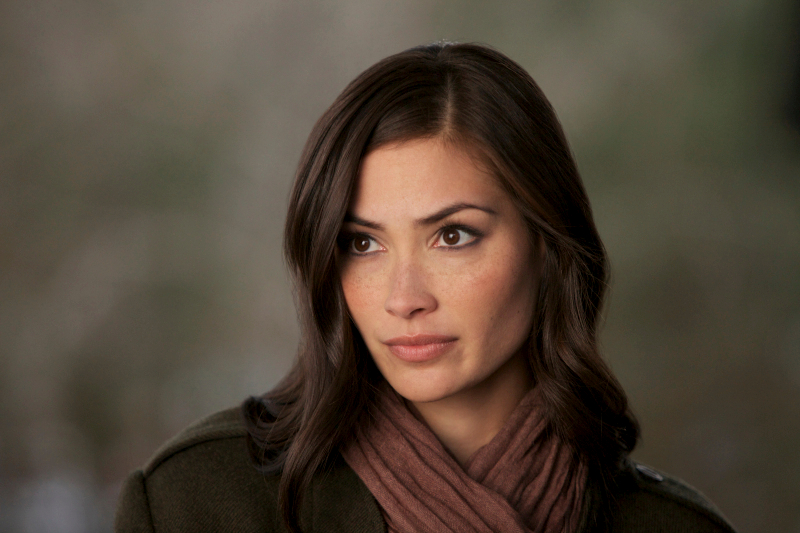 THE VAMPIRE DIARIES THE VAMPIRE DIARIES