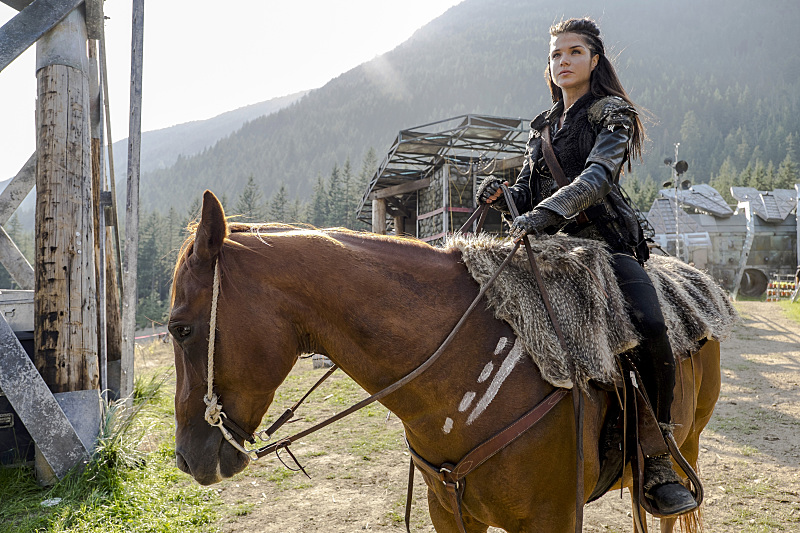 The 100 The 100