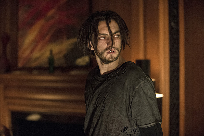 The 100 The 100