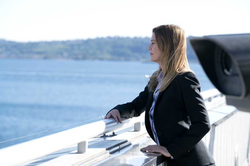 Grey’s Anatomy: Photos From The Season 14 Premiere