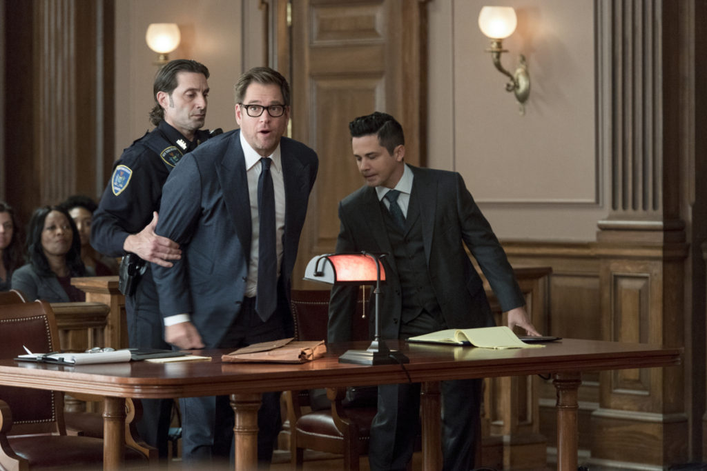Bull Photos: “The Illusion of Control”