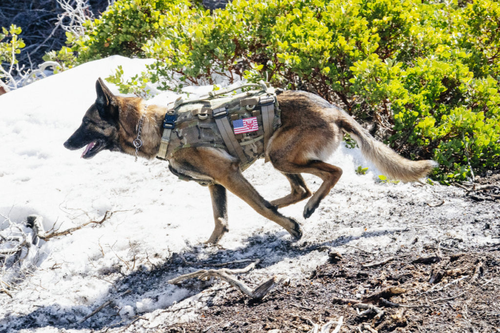 SEAL Team Season 4 Premiere Details Revealed