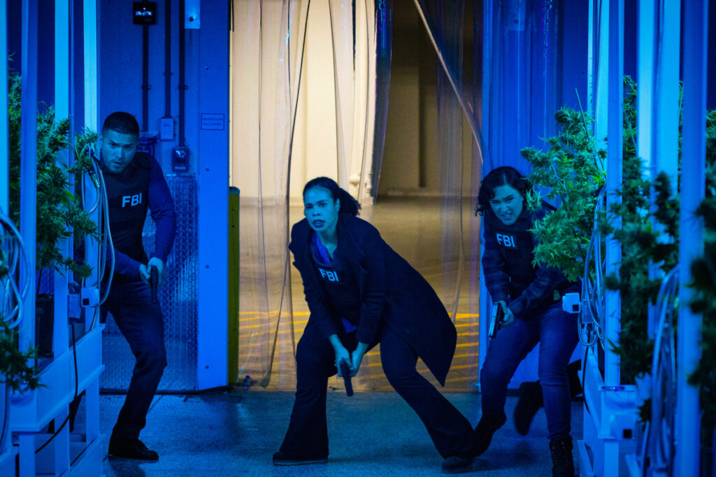 FBI: Most Wanted Tonight: “Decriminalized”